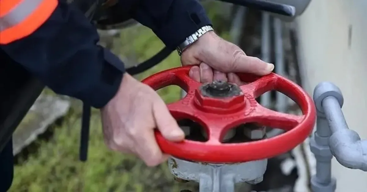 Küresel doğal gaz talebi zirve yaptı