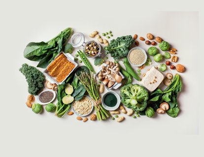 Bitki Bazlı Protein Kaynakları