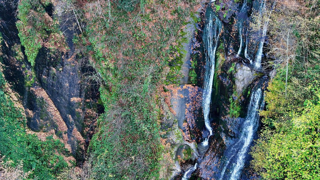 DÜZCE’DE RENK CÜMBÜŞÜ