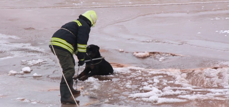 DOG RESCUED BY TURKISH FIREFIGHTERS AFTER FALLING INTO FROZEN LAKE