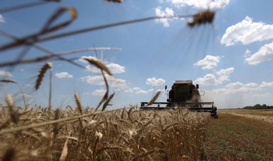 Contacts continue for extension of Black Sea grain deal: Turkish National Defense Ministry