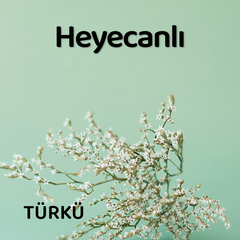 Heyecanlı | Türkü