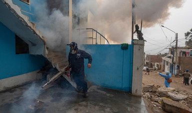 Peru extends health emergency after registering 73,000 cases of dengue fever