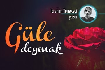 Güle doymak
