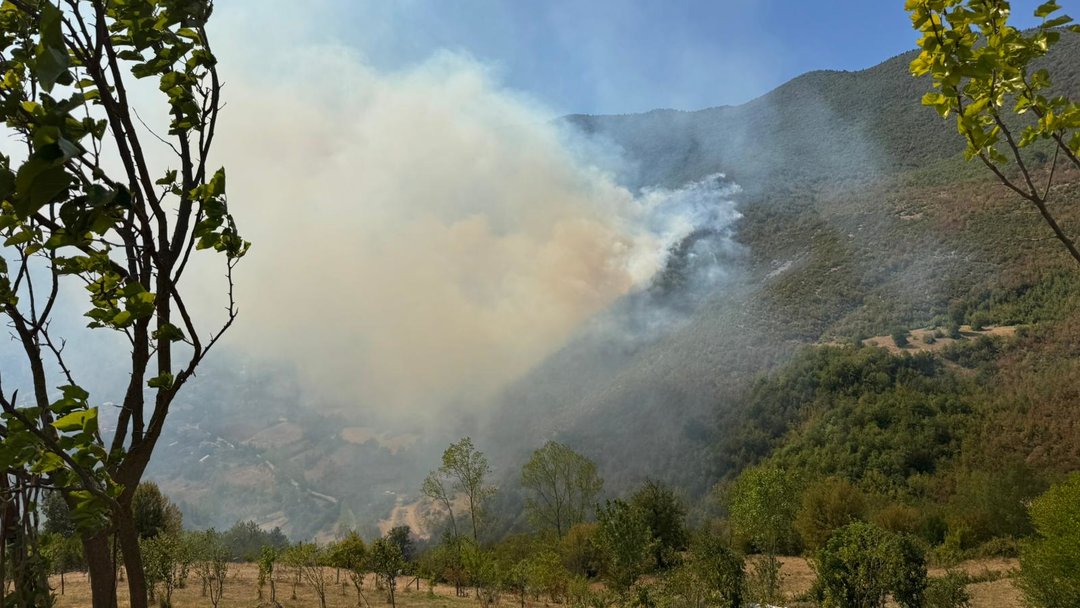 BARTIN’DA ORMAN YANGINI