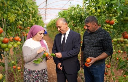 ŞOKtan Pestisit Analizi