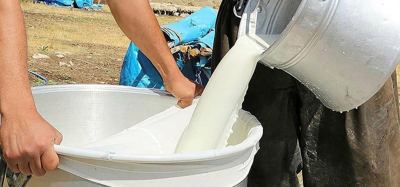 TURKEY COLLECTS OVER 730,000 TONS OF COW MILK IN SEPT