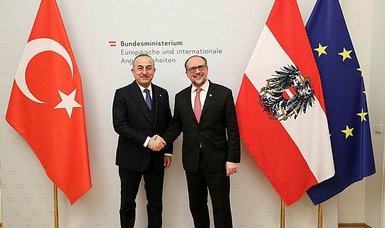 Çavuşoğlu meets with Austrian counterpart Schallenberg in Vienna to discuss cooperation