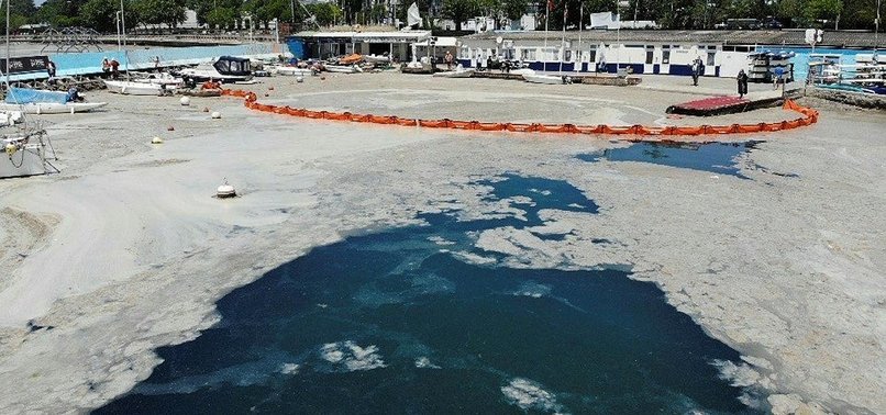 TURKEY STARTS EFFORTS TO CLEAR MARMARA SHORES OF SEA SNOT
