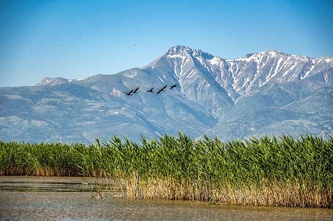 Sazlıkların arasındaki güzellik: Eber gölü