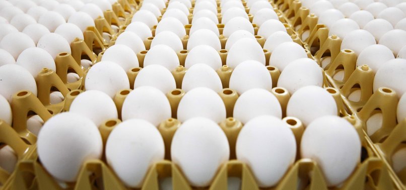 700,000 CONTAMINATED EGGS DISTRIBUTED TO UK, FOOD AGENCY SAYS