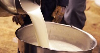 Çiğ süt satışında yeni dönem başlıyor