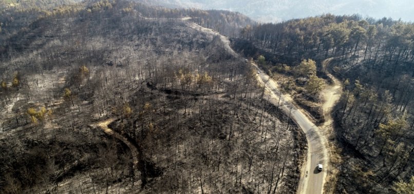 88 FOREST FIRES ACROSS TURKEY UNDER CONTROL: OFFICIAL
