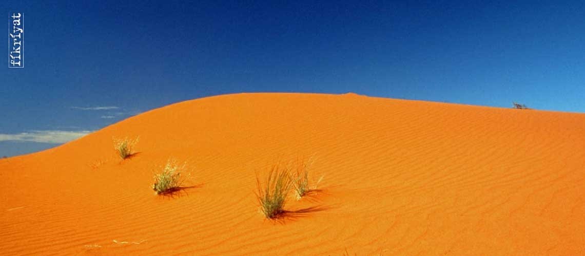 Büyük Victoria Çölü