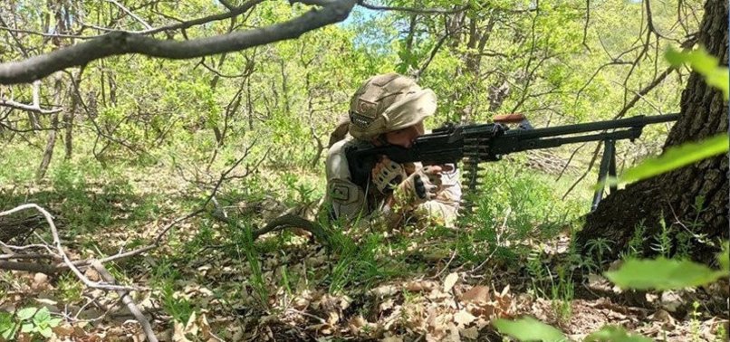 3 MORE PKK TERRORISTS NEUTRALIZED IN TURKEYS EASTERN VAN PROVINCE