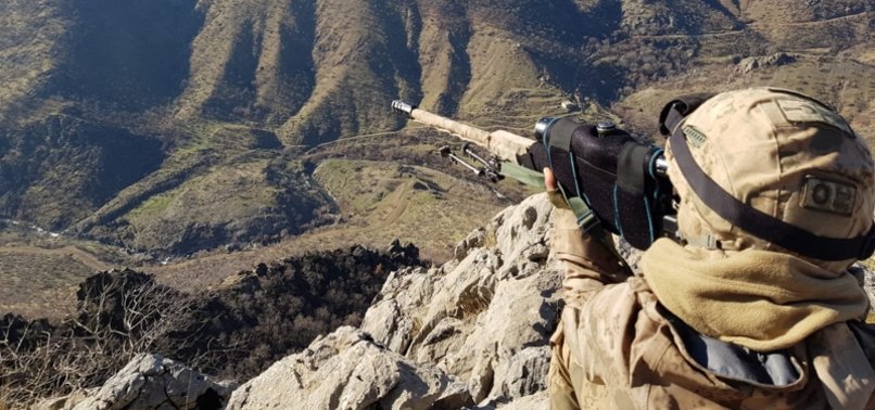 5 PKK TERRORISTS SURRENDER TO TURKISH SECURITY FORCES