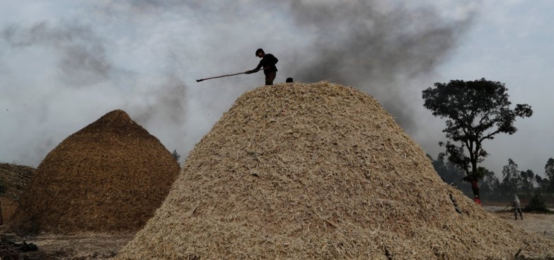 AFTER WHEAT, INDIA CAPS SUGAR EXPORTS