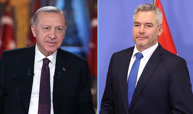 Turkish President Erdoğan, Austrian chancellor meet in Ankara for talks