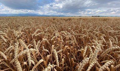 Ukraine and Russia to sign elusive grain deal in Istanbul