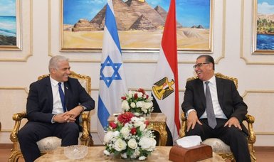 Israeli foreign minister arrives in Egypt for official talks