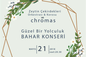 Zeytin çekirdekleri- Chromas konseri