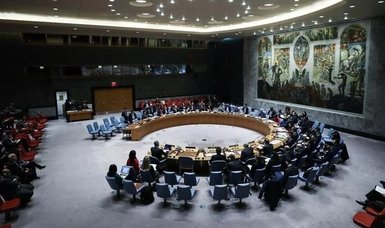 UN Security Council refers Palestine's membership bid to relevant committee