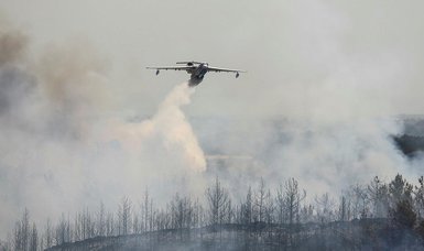 98 massive forest fires brought under control in Turkey