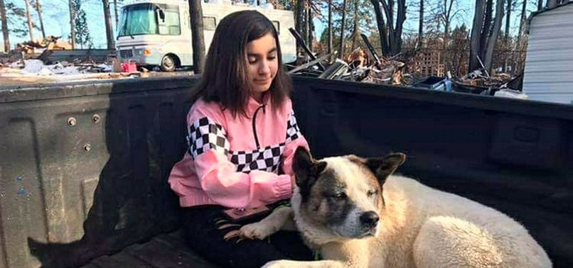 DOG REUNITED WITH FAMILY MONTHS AFTER CALIFORNIA WILDFIRE