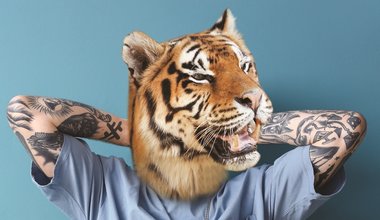 GÖSTERGEDEN TEŞHİRE DOĞRU DÖVME