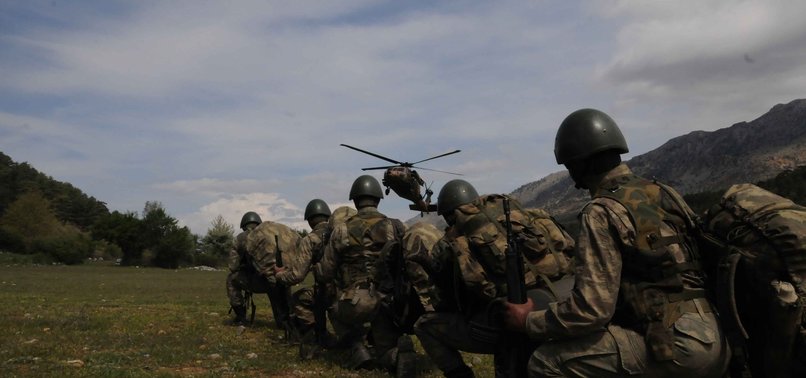 TURKISH SECURITY FORCES NEUTRALIZE 13 PKK TERRORISTS IN SE TURKEY, N. IRAQ
