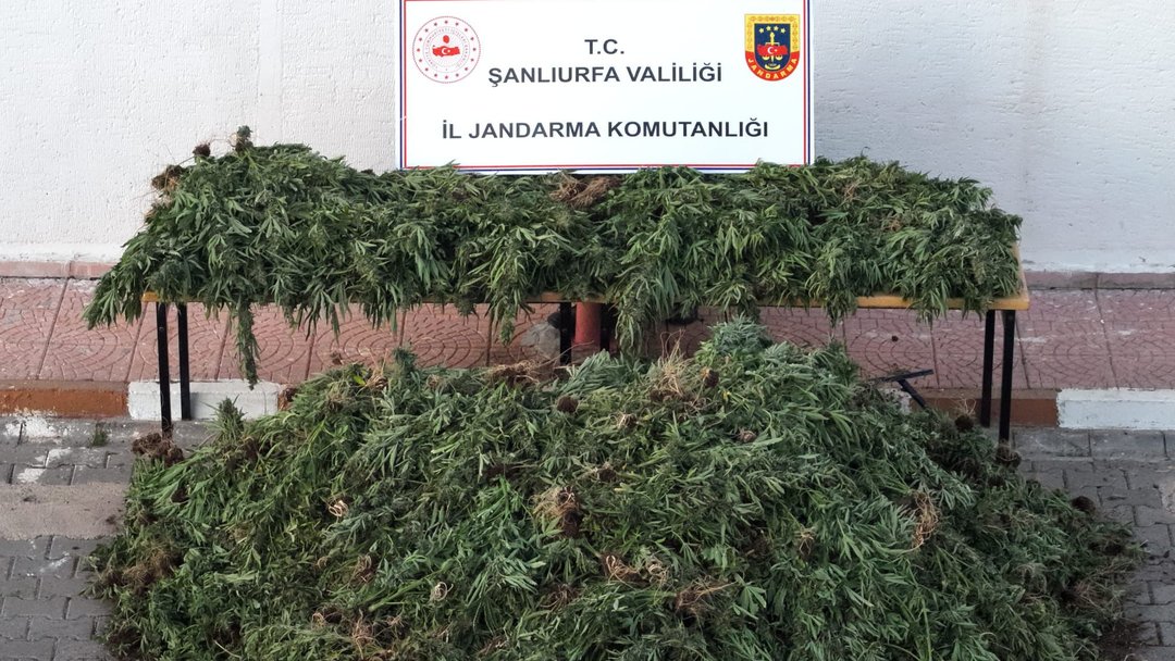 ŞANLIURFA’DA UYUŞTURUCU OPERASYONU