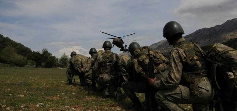 5 PKK TERRORISTS KILLED IN SOUTHEASTERN TURKEY