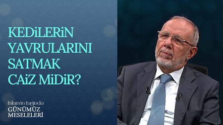 Kedilerin Yavrularını Satmak Caiz midir?