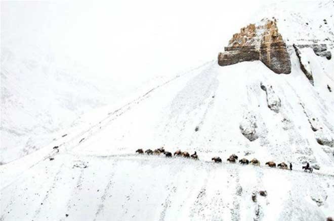Dünyanın çatısında yaşam