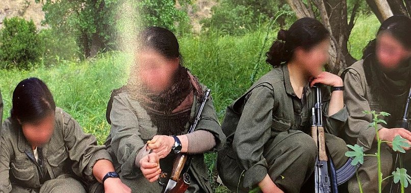 5 MORE PKK TERRORISTS SURRENDER TO SECURITY FORCES IN TURKEY