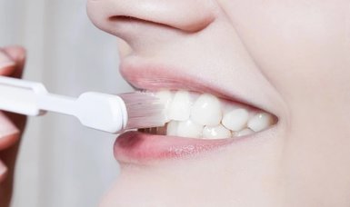 Scientists discover stem cells that can regenerate teeth and bone