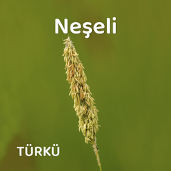 Zeybetiko Toprağa Aşk