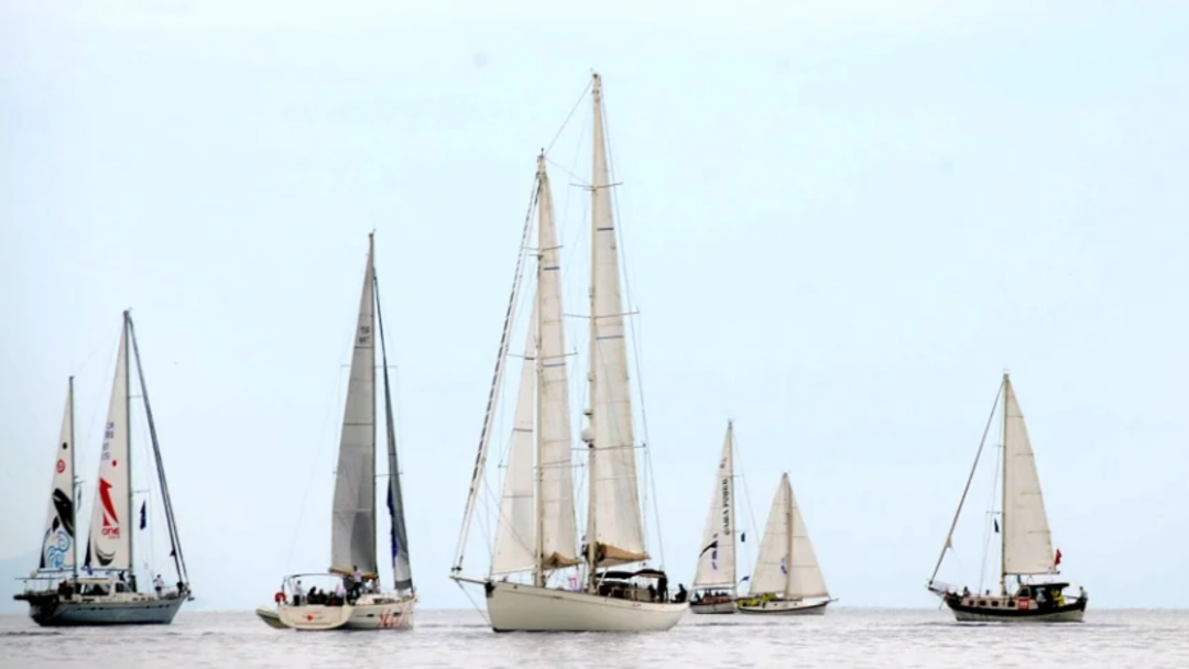THE BODRUM CUP