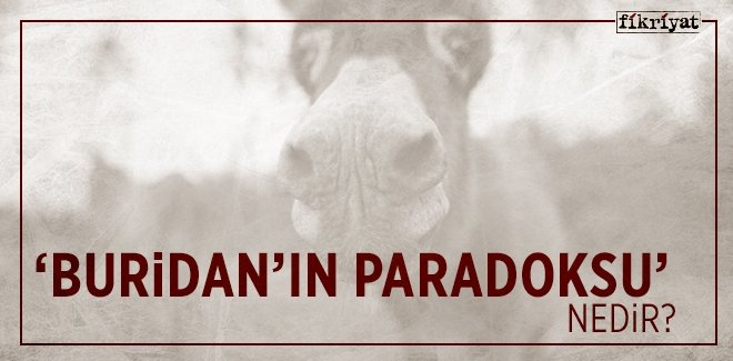 ‘BURİDAN’IN PARADOKSU’ NEDİR?