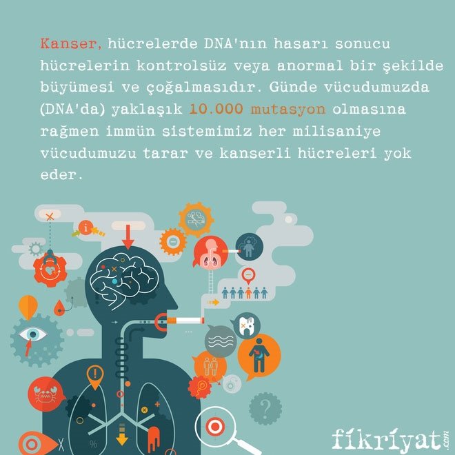 KANSER NASIL OLUŞUR?