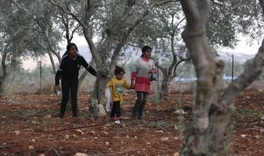 Waste from illegal Israeli settlements threatens public health, agriculture in West Bank