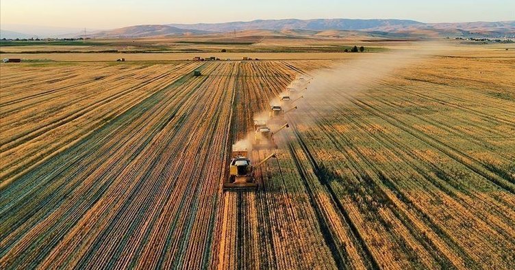 TÜİK açıkladı: Tarım ÜFE nisanda arttı