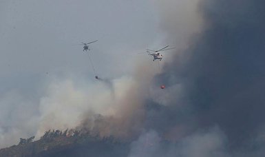 Wildfire in southwest Türkiye largely under control - minister
