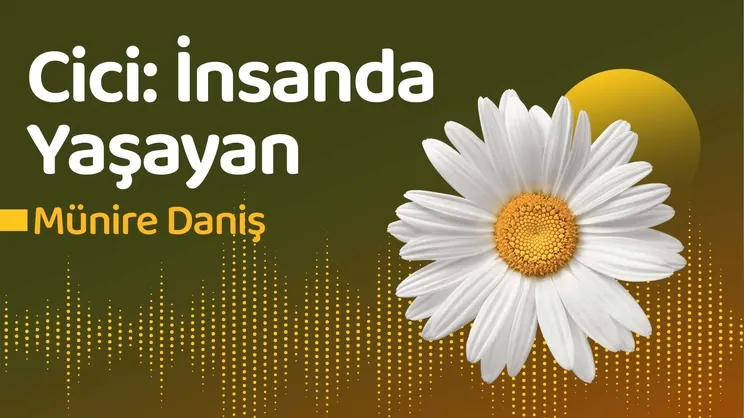 Cici: İnsanda Yaşayan