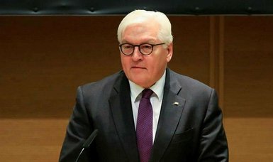 German president blasts 'shameful' MPs over face mask scandal