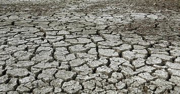 World marks day to combat desertification, drought