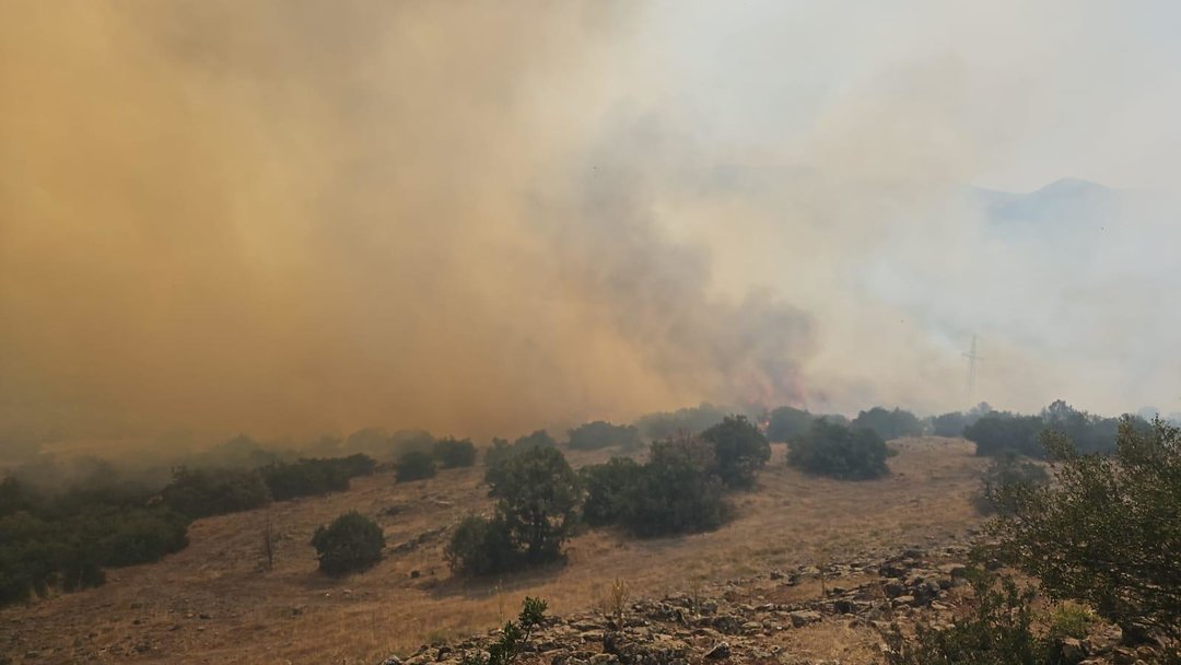 BALIKESİR’DE ORMAN YANGINI ÇIKTI