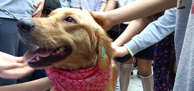 RESCUED DOGS TEACH COMPASSION TO STUDENTS IN NORTHERN TURKEY’S TRABZON