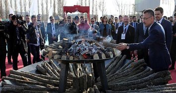 Turkish vice president attends Nevruz celebration