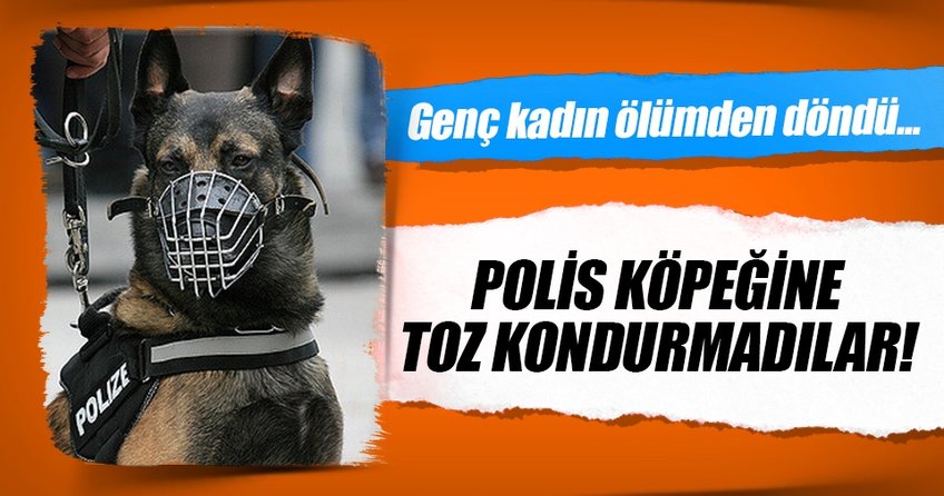 Polis köpeği faciaya neden oluyordu